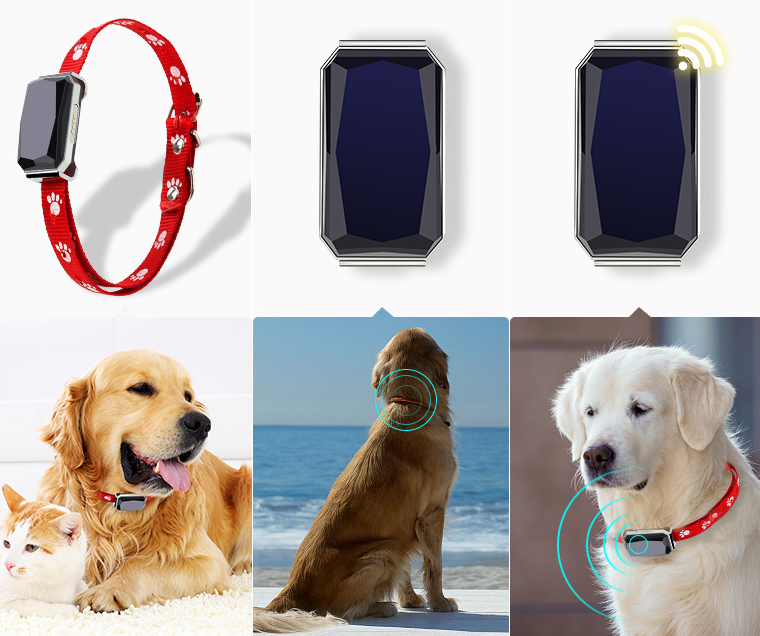 GPS Pet Positioning Collar